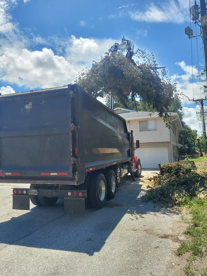 Debris haul-away truck after a tree removal job