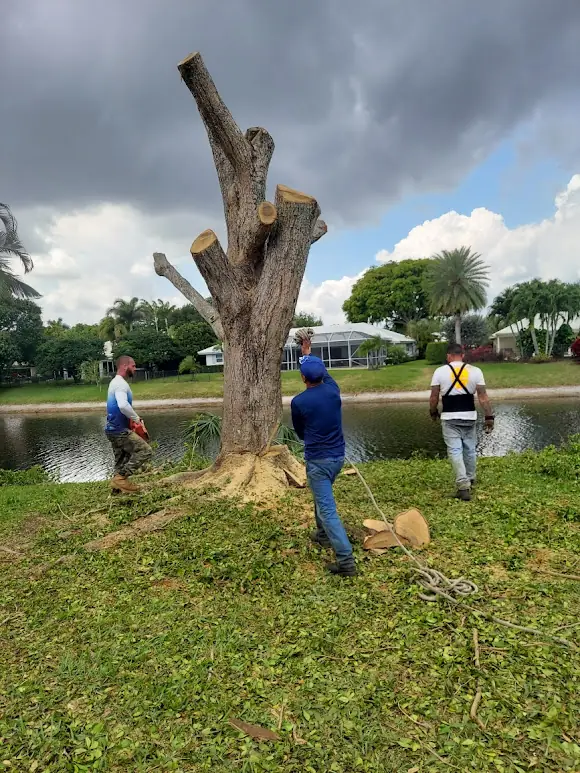 Tree removal along a Boynton Beach canal