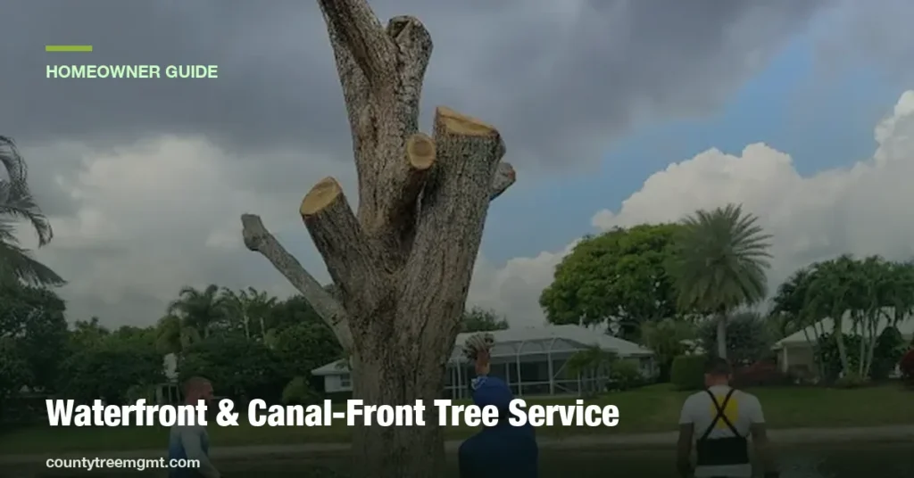 Waterfront and Canal-Front Tree Service in Boynton Beach: What Homeowners Should Know