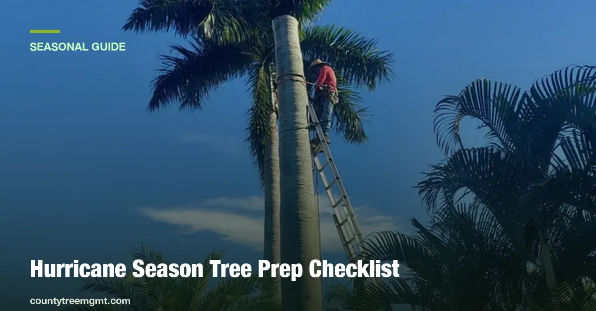 Homeowner inspecting trees before hurricane season in South Florida