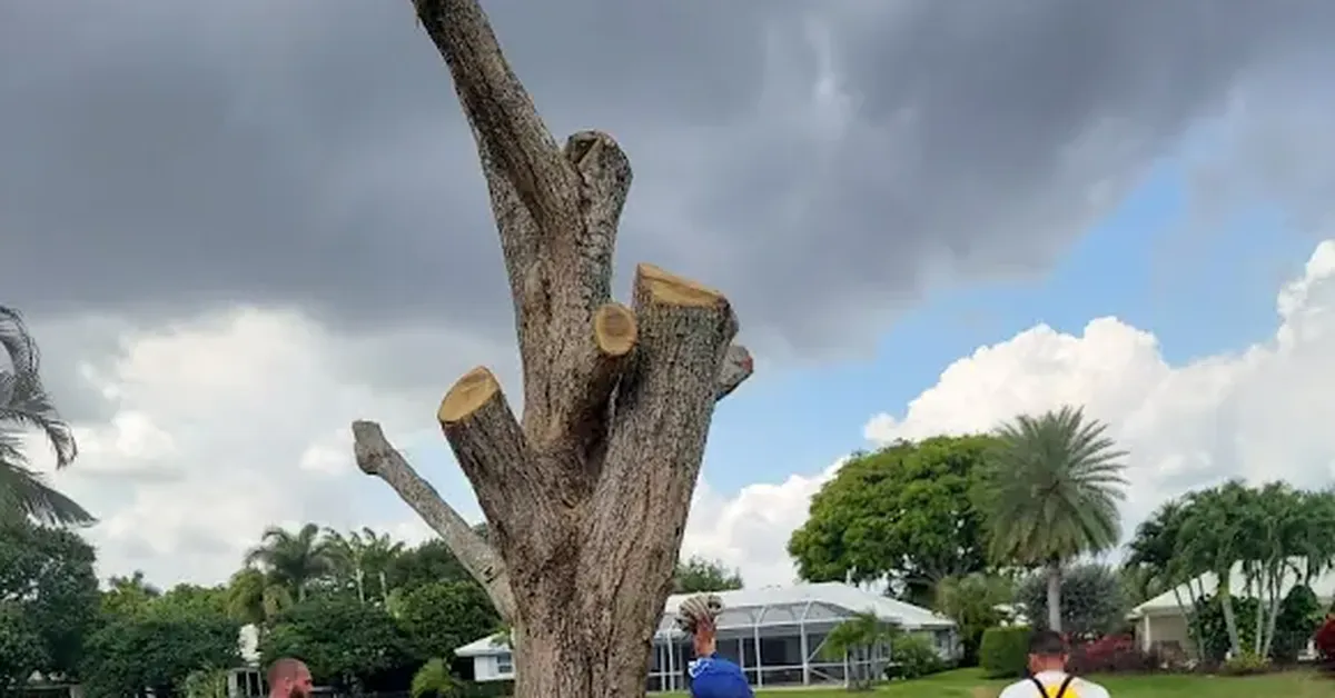 Crew clearing storm-damaged tree debris under dark storm clouds