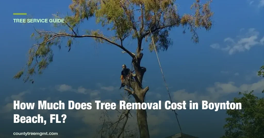 How Much Does Tree Removal Cost in Boynton Beach, FL?