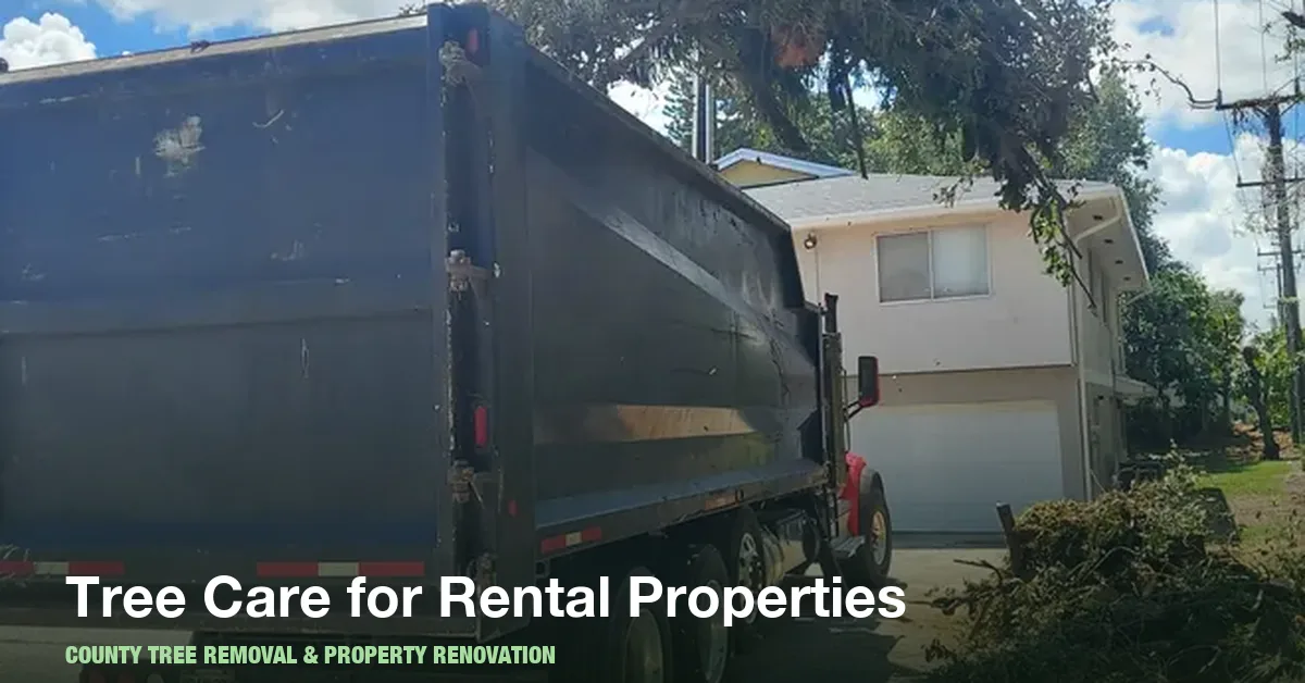 Tree maintenance at a rental property in Boynton Beach