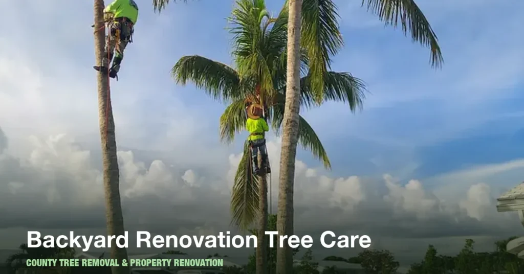 Tree Clearing for Backyard Renovations in Boynton Beach: When Do You Need It?