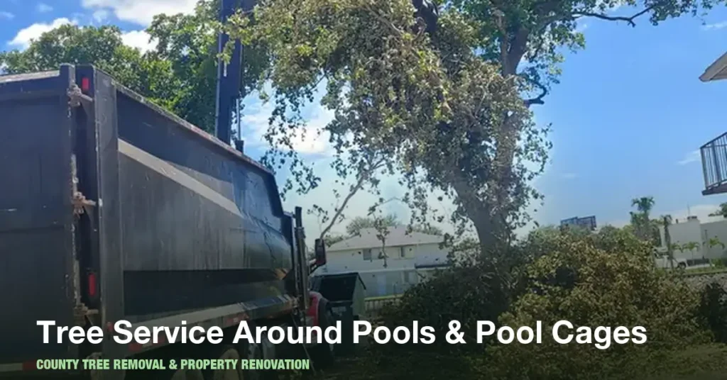 Tree Service Around Pools and Pool Cages in Boynton Beach: What Homeowners Need to Know