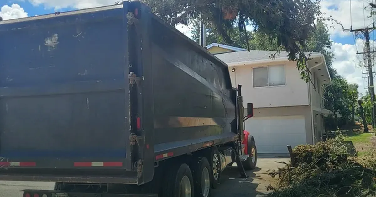 Tree trunk being cut into sections during a removal in Palm Beach County